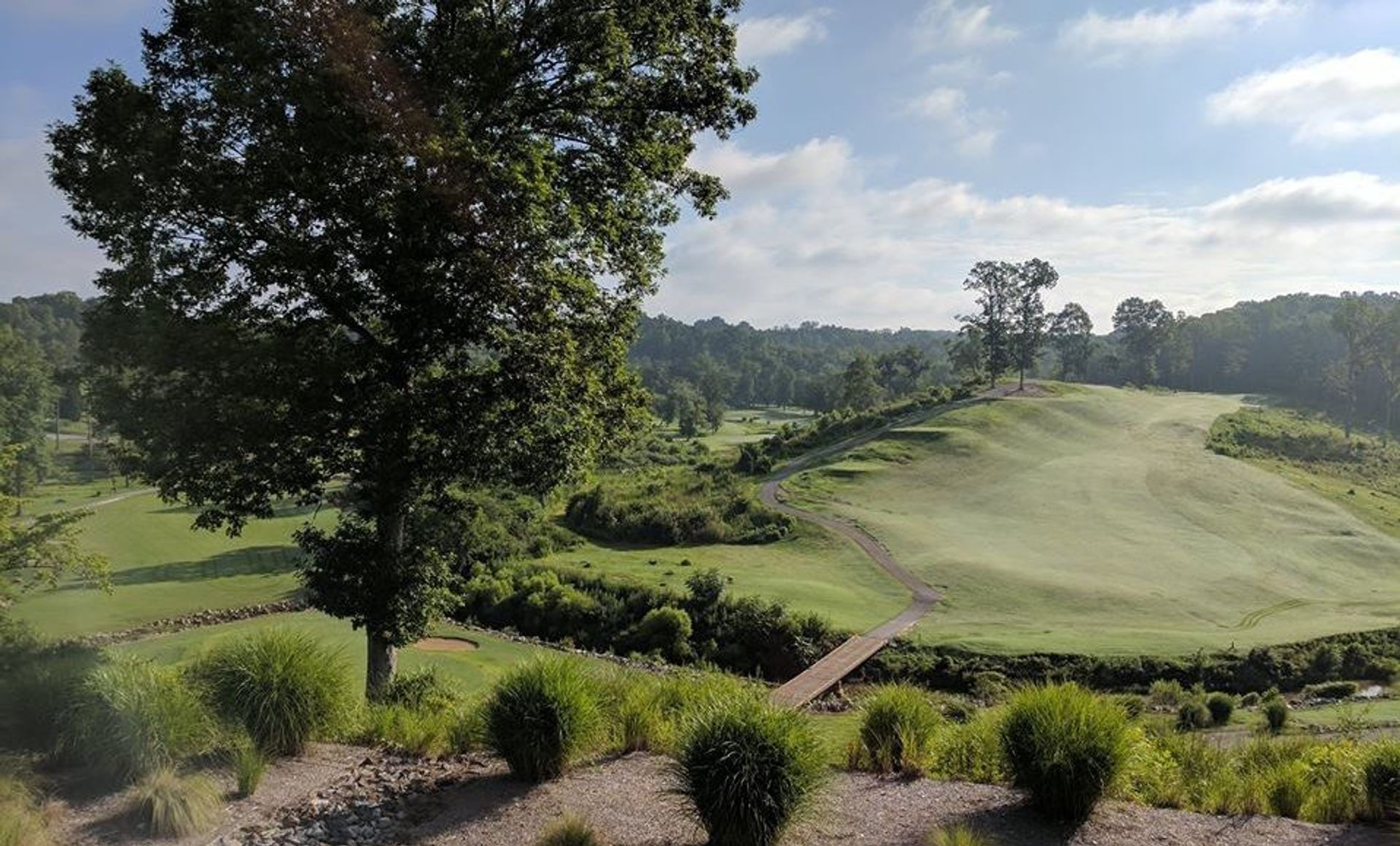 Golf course green